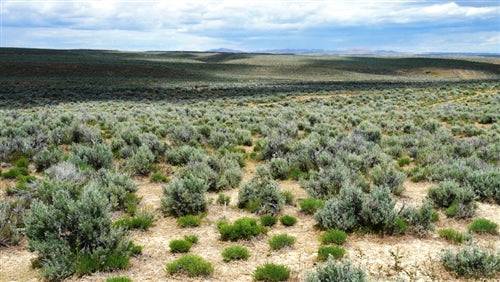 Aerial view of Meadow Valley Ranchos Lot 5, Block 43, Unit 4 in Elko County, Nevada, showing open land in a rural setting.