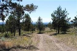 Aerial view of Oregon Klamath Falls Forest Estates lots 69, 70, and 71 in Klamath County, showing wooded land parcels.