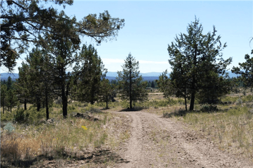 Oregon, Klamath County, 5.67 Acres Klamath Falls Forest Estates Lot 9 Block 96 POND. TERMS $500/Month