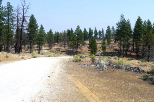 Oregon, Klamath  County, 2.43 Acres Klamath Forest Estates Lot 12 Block 05. TERMS $187/Month