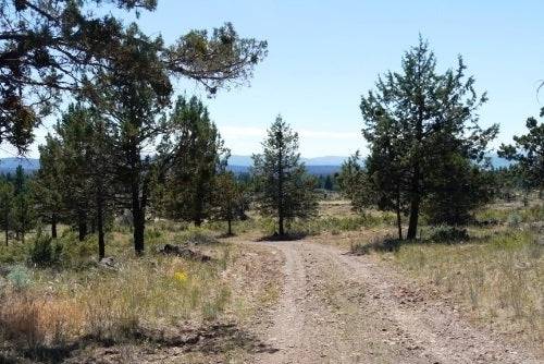 Oregon, Klamath County, 9.86 Acres Klamath Falls Forest Estates Lot 5 Block 5 N1/2W1/2. TERMS $429/Month