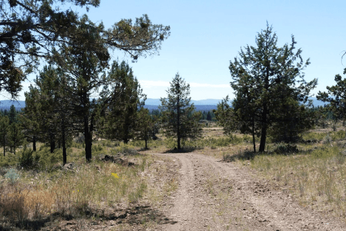 Aerial view of Oregon Klamath Forest Estates Lot 29 in Klamath County, showing wooded 1.94-acre property with natural landscape.