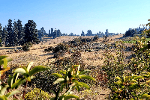 Oregon, Klamath County, 0.25 Acres Oregon Shores Lot 44 Block 44 Unit 2, Electricity. HUGE VIEWS. TERMS $256/Month