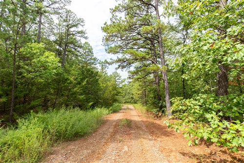 Oklahoma, Latimer County, 11.53 Acre Stone Bridge V, Lot 328 TERMS $265/Month