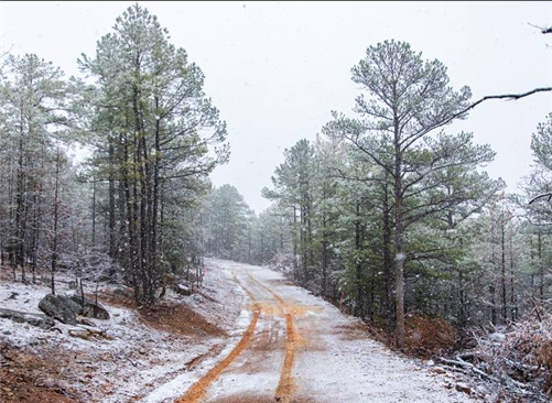 Oklahoma, Latimer County, 14.73 Acre Stone Bridge IV, Lot 261 TERMS $434/Month