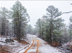 Oklahoma, Latimer County, 10.13 Acre Stone Bridge IV, Lot 265 TERMS $299/Month