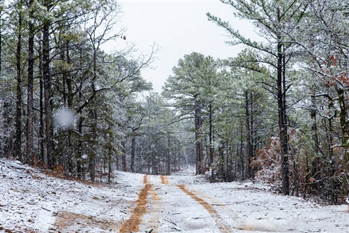 Oklahoma, Latimer County, 9.47 Acre Stone Bridge IV, Lot 298 TERMS $289/Month