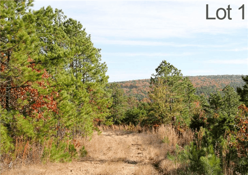 Oklahoma, Latimer County, 23.45 Acre Stone Creek Ranch, Lot 1, Creek. TERMS $390/Month
