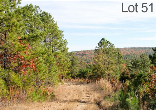 Oklahoma, Latimer County, 14.07 Acre Stone Creek Ranch, Lot 51, Creek. TERMS $285/Month