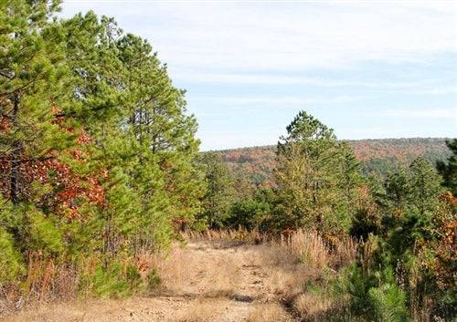 Oklahoma, Latimer County, 86.20 Acre Stone Creek Ranch, Lot 60, Creek. TERMS $1,160/Month