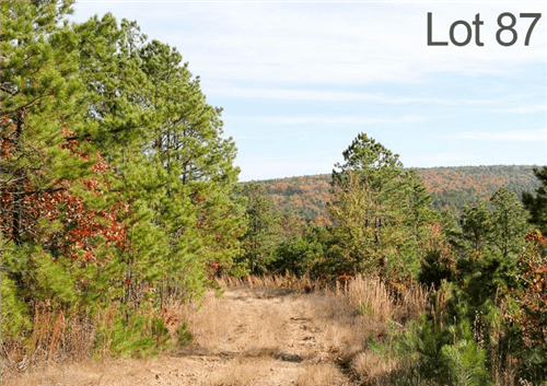 Oklahoma, Latimer County, 12.07 Acre Stone Creek Ranch, Lot 87, Creek. TERMS $245/Month