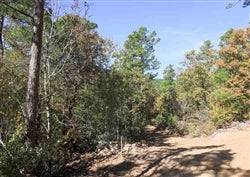 Oklahoma, Latimer County, 9.59 Acre Stone Creek Phase I, Lot 141, Creek. TERMS $260/Month