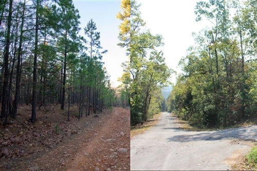 Oklahoma, Latimer County, 11.71 Acre Stone Bridge II, Lot 103, BUNDLED (with Resort Lot in Ozarks) TERMS $369/Month