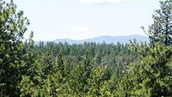 Oregon, Klamath County, 1.76 Acres Klamath Falls Forest Lot 18. TERMS $219/Month
