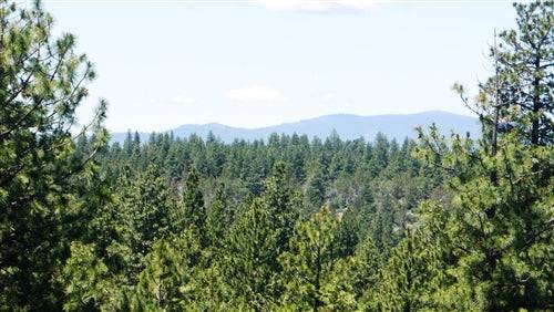 Aerial view of Oregon Klamath County 6.51-acre forest property near Klamath Falls, showcasing lush trees and open land.