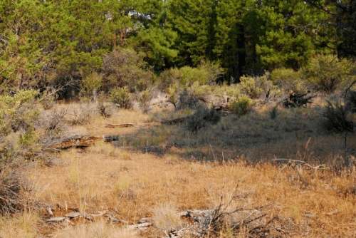 Oregon, Klamath County, 1.47 Acres Ferguson Mountain Pines Lot 48 Block 15. TERMS $222/Month