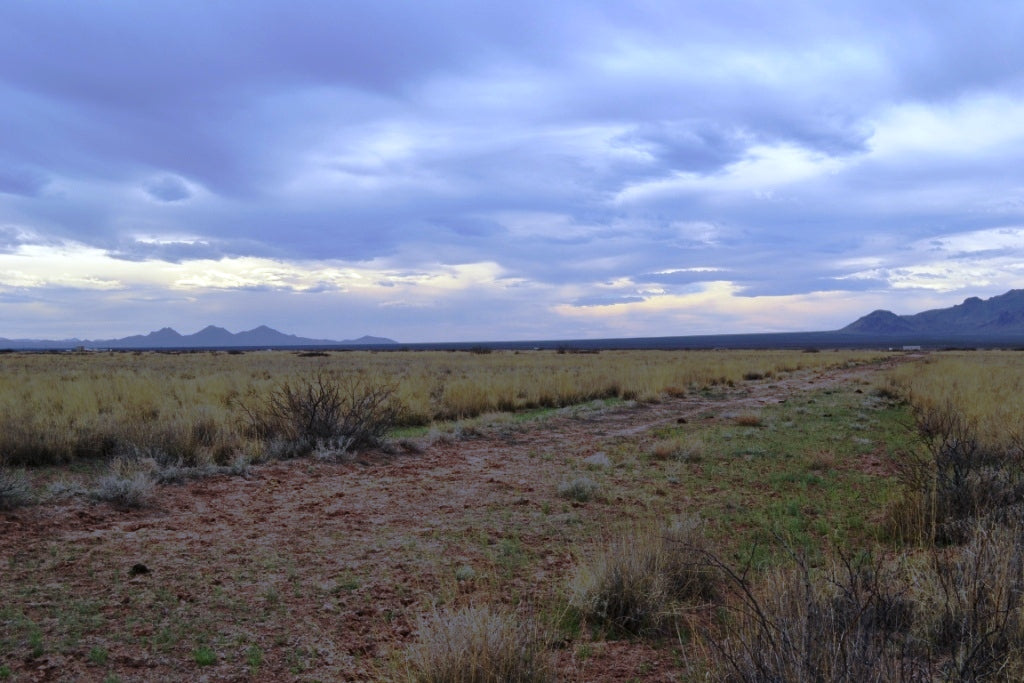 New Mexico, Luna County, Sunshine Valley Ranchettes, .50 Acre Lot 36 Unit 17 Block 23. TERMS $25/Month