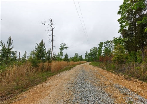 Tennessee, Benton County, 5.90 Acres Red Barn Ranch, Lot 11, Electricity, Stream. TERMS $449/Month
