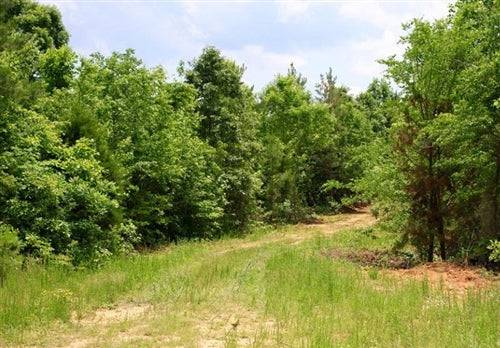 Aerial view of Bluebird Ranch Lot 16 in Carroll County, Tennessee, showing wooded land and open fields at Bluebird Ranch.