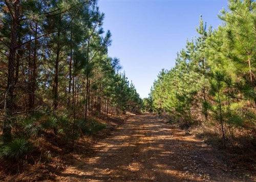 Aerial view of Tennessee Decatur County Pine Ridge Lot 4, 5.36-acre wooded land for sale in Decatur County, Tennessee.