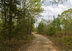 Tennessee, Henderson County, 6.92 Acres Twin Rivers, Lot 24. TERMS $474/Month