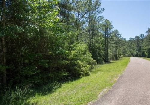 Aerial view of Texas Jasper County Rayburn Country Lot 190, 0.51 acres with visible lot boundaries and surrounding natural landscape.