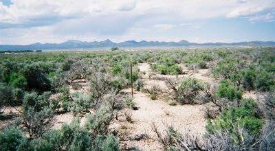 Utah, Box Elder County, 79.79 Acres Wendover (NW Fringes). NEAR SPRING BAY. TERMS $398/Month