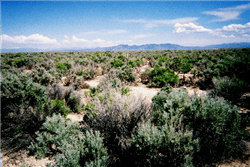 Aerial view of Utah Iron County Beryl Townsite Lot 19, Block 54, showing land parcel with surrounding terrain and roads.