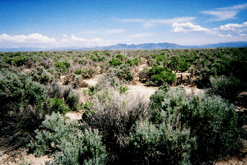 Aerial view of a 40-acre iron county land parcel in Utah, Beryl NW1/4SW1/4 section 35, T34S R18W, onlinelandsales.