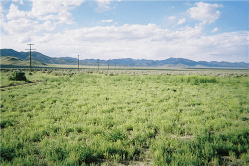 Utah, Iron County, 2.07 Acres Garden Valley Ranchos Lot 810 Unit 1 . TERMS $99/Month