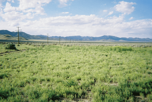 Utah, Iron County, 4.54 Acres Garden Valley Ranchos Lots 888,903 Unit 1. TERMS $193/Month
