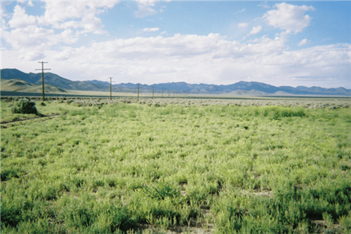 Iron County Utah Garden Valley Ranchos Lot 2326, 1.25 acres, scenic land parcel with natural landscape and open space.
