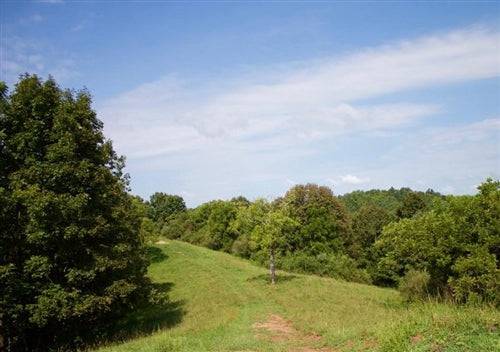 Scenic view of West Virginia Roane County Heritage Hollow property, showing lush landscape and wooded area.