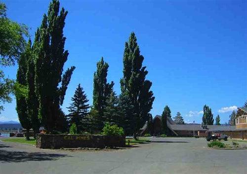 Aerial view of a 0.92-acre property in California Pines Resort, Modoc County, California, with trees and surrounding natural landscape.