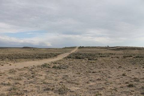 Colorado, Costilla County, 5.42 Acre Rio Grande Ranchos. TERMS $100/Month