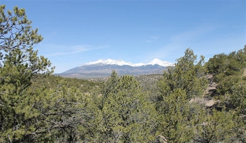 Colorado, Costilla County, 5.02 Acres Sangre De Cristo Ranches. TERMS $185/Month