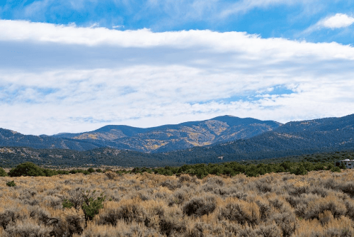 Colorado, Costilla County, 10.00 Acres Trinchera Creek Estates Lots 5 & 6, Unit 6, Block 5 Adjoining. TERMS $143/Month