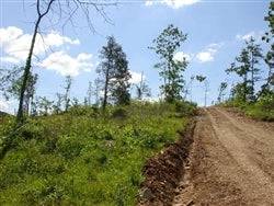 Aerial view of Missouri Shannon County Antler Ridge 18.82-acre land parcel with trees and open space, offered by Onlinelandsales.