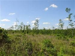 20.11-acre Missouri Shannon County property at Antler Ridge, featuring wooded land with scenic views and natural landscape.