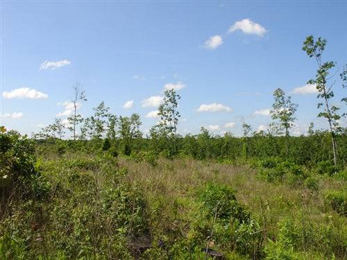 Aerial view of Missouri Shannon County Antler Ridge 22.24-acre land parcel with trees and natural landscape.