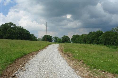 A 10-acre rural property in Missouri, Texas County with mature oak trees and open land, available from Onlinelandsales.