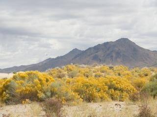 Aerial view of Nevada Humboldt County 40-acre land near Winnemucca, showcasing open desert terrain and surrounding landscape.