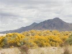 Aerial view of Nevada Humboldt County 40-acre land parcel near Winnemucca, showing open desert terrain and surrounding landscape.