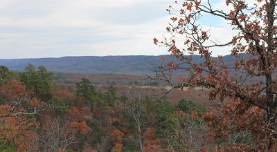 Oklahoma, Pittsburg County, 8.02 Acre Indian Ridge. TERMS $160/Month