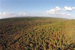 19.56-acre Indian Ridge III Creek property in Pittsburg County, Oklahoma with electricity, scenic land for sale by Onlinelandsales