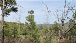 Aerial view of Indian Ridge II property in Pittsburg County, Oklahoma, showcasing 8.2 acres of wooded land, available for sale.