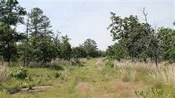 Aerial view of Oklahoma Pittsburg County Indian Ridge II 10.39-acre property, featuring wooded land and open spaces.