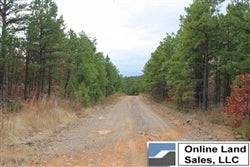 A scenic view of Indian Ridge II land parcels in Pittsburg County, Oklahoma, showing lush greenery and open acreage.