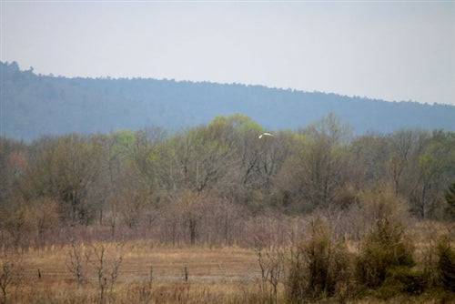 Aerial view of 5.01-acre Daisy Meadows property in Pittsburg County, Oklahoma, offered by OnlineLandSales.
