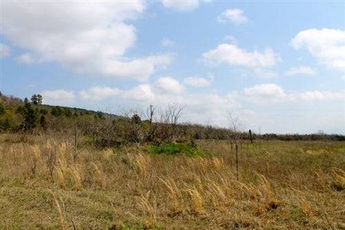 Aerial view of 5.01-acre Daisy Meadows land in Pittsburg County, Oklahoma, showing open property with surrounding trees and clear skies.